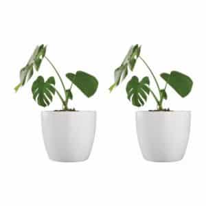 Set X 2 Macetas De Plástico Premium N 27 Nórdica | AMALFI